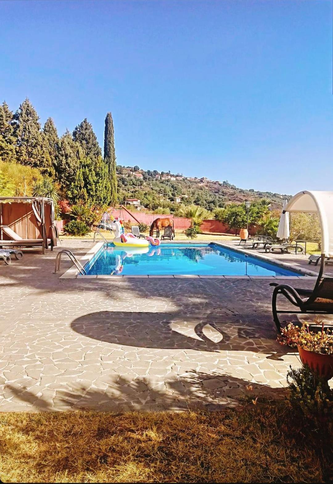 Villa Alessio - Case Vacanza Con Piscina Sull'Etna Puntalazzo Екстериор снимка